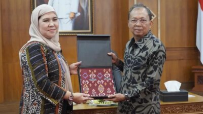 perkuat-sinergi-pembangunan-infrastruktur-ketenagalistrikan,-pln-uip-jbtb-audiensi-dengan-gubernur-bali