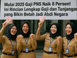 Rincian Lengkap Gaji dan Tunjangan PNS Berdasarkan Ijazah usai Resmi Naik 8 Persen!