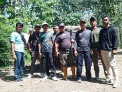 54 Batang Kayu Jati Ilegal Ditemukan di Lahan Kosong Banyuwangi