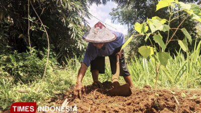 dkpp-pacitan-klaim-104-ribu-nik-petani-penerima-pupuk-bersubsidi-2025-sudah-valid-–-times-banyuwangi