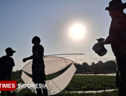 Saat Tentara dan Bocil Tertawa Bersama di Langit Jingga Kesilir Banyuwangi – TIMES Banyuwangi
