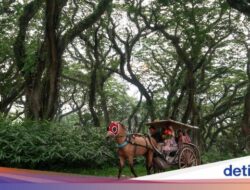 10 Lokasi Wisata Wajib di Banyuwangi yang Tak Boleh Dilewatkan
