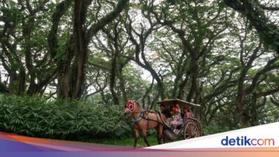 10-lokasi-wisata-wajib-di-banyuwangi-yang-tak-boleh-dilewatkan