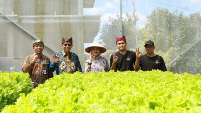 dua-pemuda-jebolan-jagoan-tani-banyuwangi-yang-sukses-budidaya-hidroponik-selada