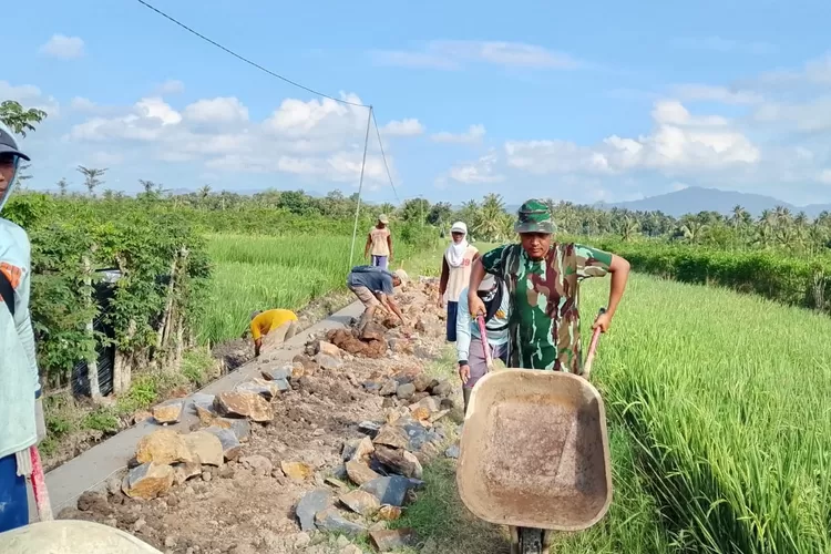 tak-kenal-libur,-satgas-tmmd-125-dan-warga-kesilir-cor-irigasi-demi-harapan-petani