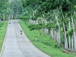 JLS Banyuwangi Tersisa 14,1 Km, Konstruksi Dijadwalkan Mulai 2026!