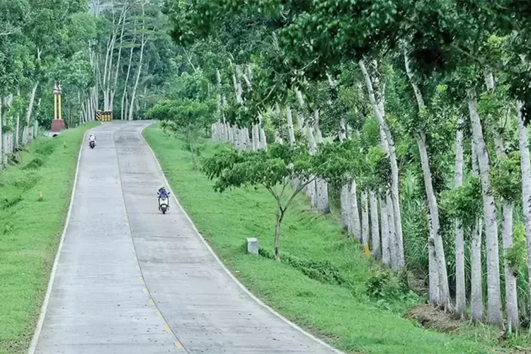 jls-banyuwangi-tersisa-14,1-km,-konstruksi-dijadwalkan-mulai-2026!