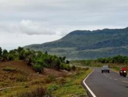 Jalan Lintas Selatan Banyuwangi-Jember Tinggal 14 Km, Target Rampung 2026 Bikin Warga Antusias!