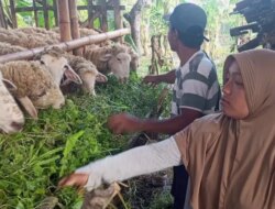 Rumah Nyaris Roboh, Hidup Serba Kekurangan! Buruh Tani Banyuwangi Ini Menangis Dapat Bedah Rumah dari TNI