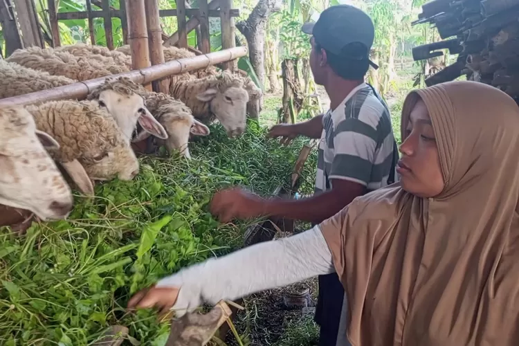 rumah-nyaris-roboh,-hidup-serba-kekurangan!-buruh-tani-banyuwangi-ini-menangis-dapat-bedah-rumah-dari-tni