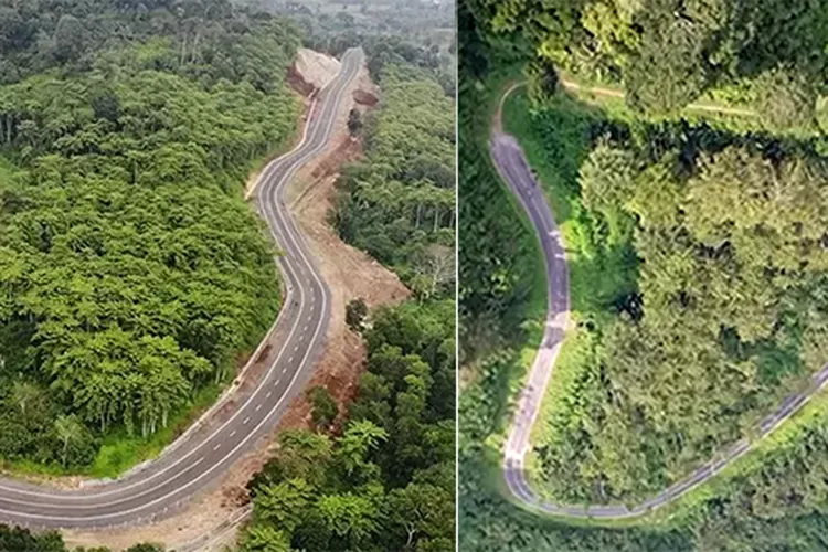 penampakan-jls-pansela-jember–banyuwangi,-kapan-tembus?