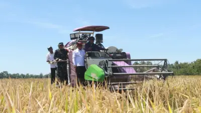 hingga-juli-tahun-2025,-produksi-jagung-dan-padi-di-banyuwangi-naik-signifikan