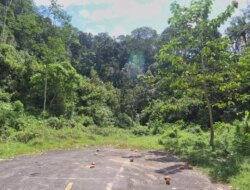 Proyek JLS Banyuwangi Masuki Tahap Baru, Dukungan Penuh dari Pihak Kebun