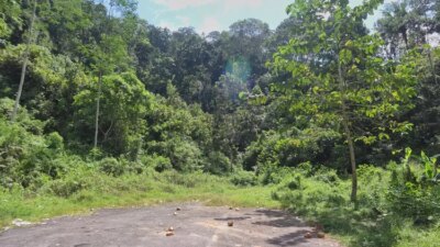 proyek-jls-banyuwangi-masuki-tahap-baru,-dukungan-penuh-dari-pihak-kebun