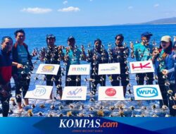 Dorong Kelestarian Laut dan Ekowisata, Peruri Konservasi Terumbu Karang di Banyuwangi