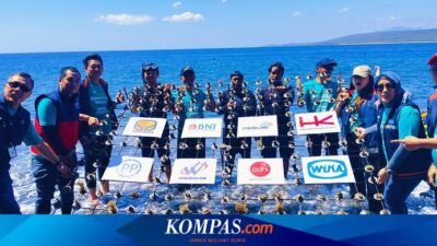 dorong-kelestarian-laut-dan-ekowisata,-peruri-konservasi-terumbu-karang-di-banyuwangi