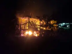 Kandang Terbakar, 9 Ekor Kambing di Banyuwangi Mati terpanggang