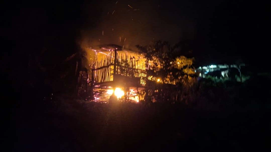 kandang-terbakar,-9-ekor-kambing-di-banyuwangi-mati-terpanggang