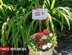 KADIN Majalengka Sumbangkan Bibit Pohon di 1 Dekade TIMES Indonesia – TIMES Banyuwangi