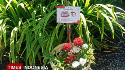 kadin-majalengka-sumbangkan-bibit-pohon-di-1-dekade-times-indonesia-–-times-banyuwangi