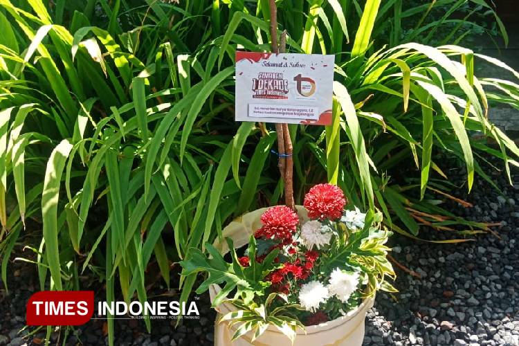 kadin-majalengka-sumbangkan-bibit-pohon-di-1-dekade-times-indonesia-–-times-banyuwangi