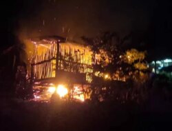 Tragis! 9 Kambing Warga Banyuwangi Mati Terpanggang Saat Kandang Ludes Dilalap Api