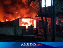Suara Kucing Selamatkan Nyawa Pasutri dari Kebakaran di Banyuwangi