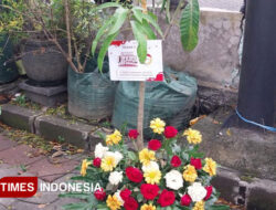 Rayakan 1 Dekade TIMES Indonesia, DKP3 Majalengka Turut Sumbang Bibit Buah – TIMES Banyuwangi
