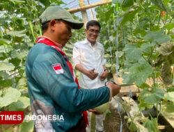 Bagus Samudro, Petani Muda Durenan Ngajum Sukses Budidaya Melon Premium di Green House – TIMES Banyuwangi