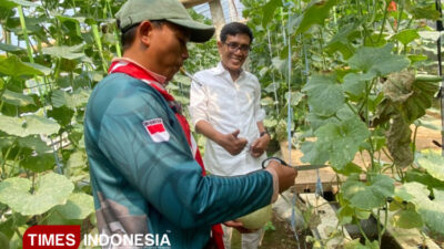 bagus-samudro,-petani-muda-durenan-ngajum-sukses-budidaya-melon-premium-di-green-house-–-times-banyuwangi