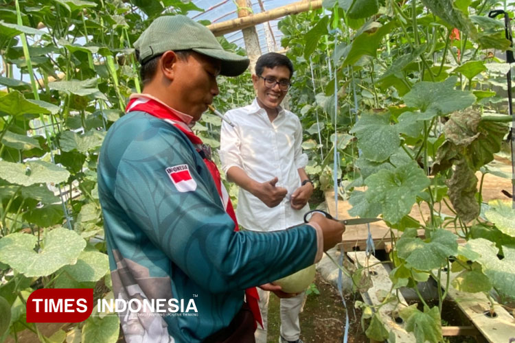 bagus-samudro,-petani-muda-durenan-ngajum-sukses-budidaya-melon-premium-di-green-house-–-times-banyuwangi