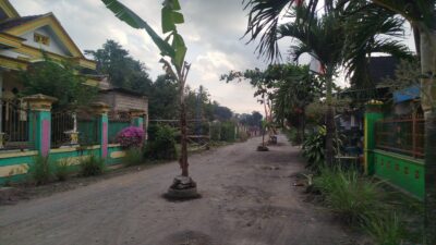 lantaran-minta-diperbaiki,-jalan-sepanjang-ratusan-meter-ditanami-pohon-pisang-oleh-warga-sekitar