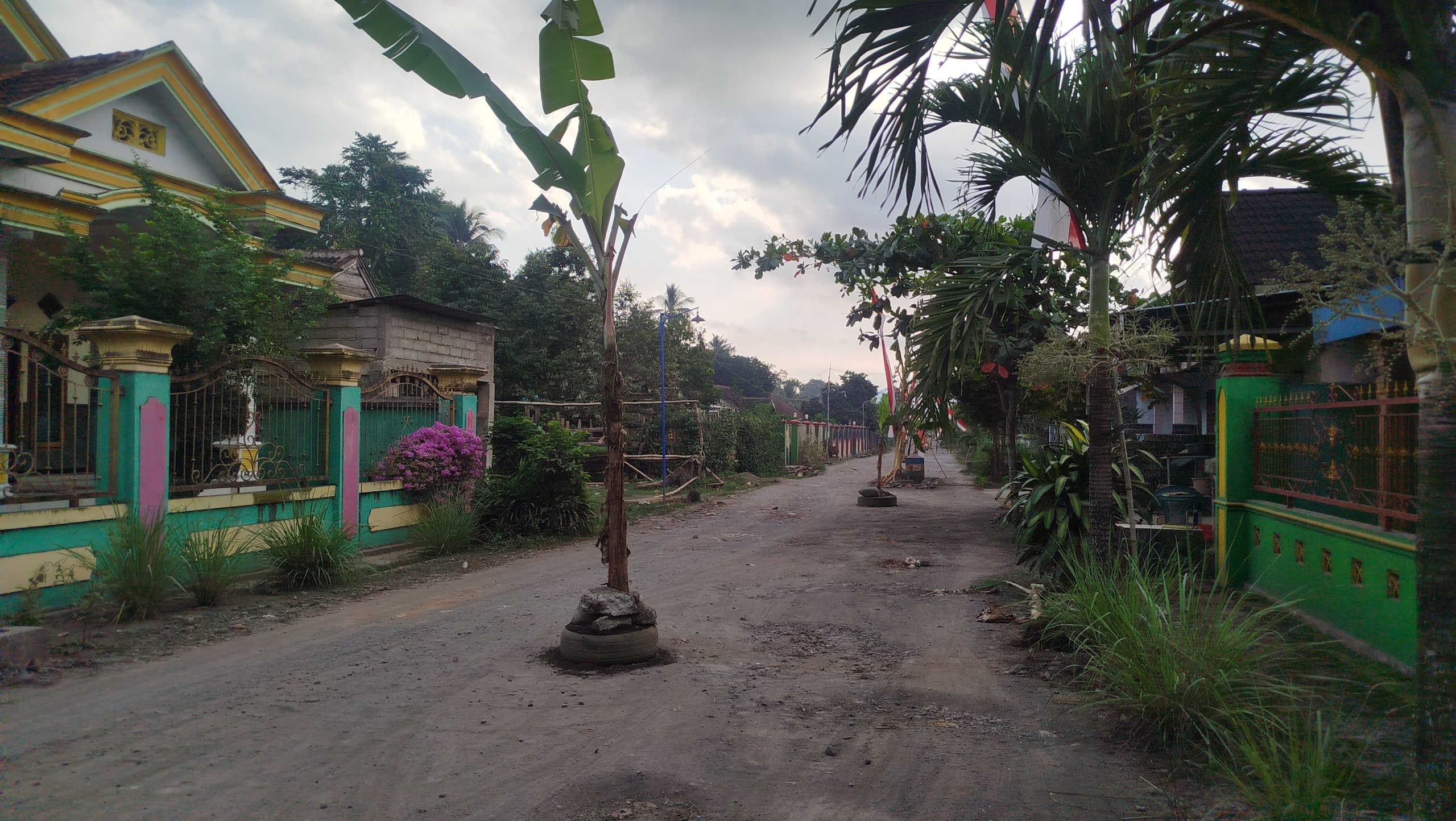 lantaran-minta-diperbaiki,-jalan-sepanjang-ratusan-meter-ditanami-pohon-pisang-oleh-warga-sekitar