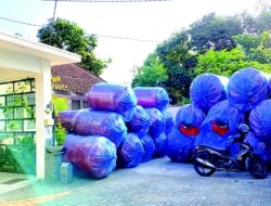 Waspada! 7 Kecamatan di Banyuwangi Terancam Kekeringan di Puncak Musim Kemarau