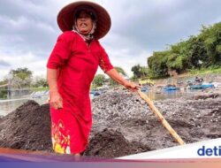 Perjuangan Srikandi Penambang Pasir Demi Pendidikan Anak