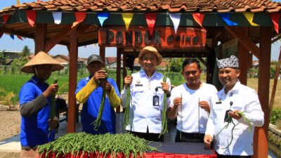 libatkan-warga-binaan-akhirnya-lapas-kelas-iia-banyuwangi-panen-kacang-panjang