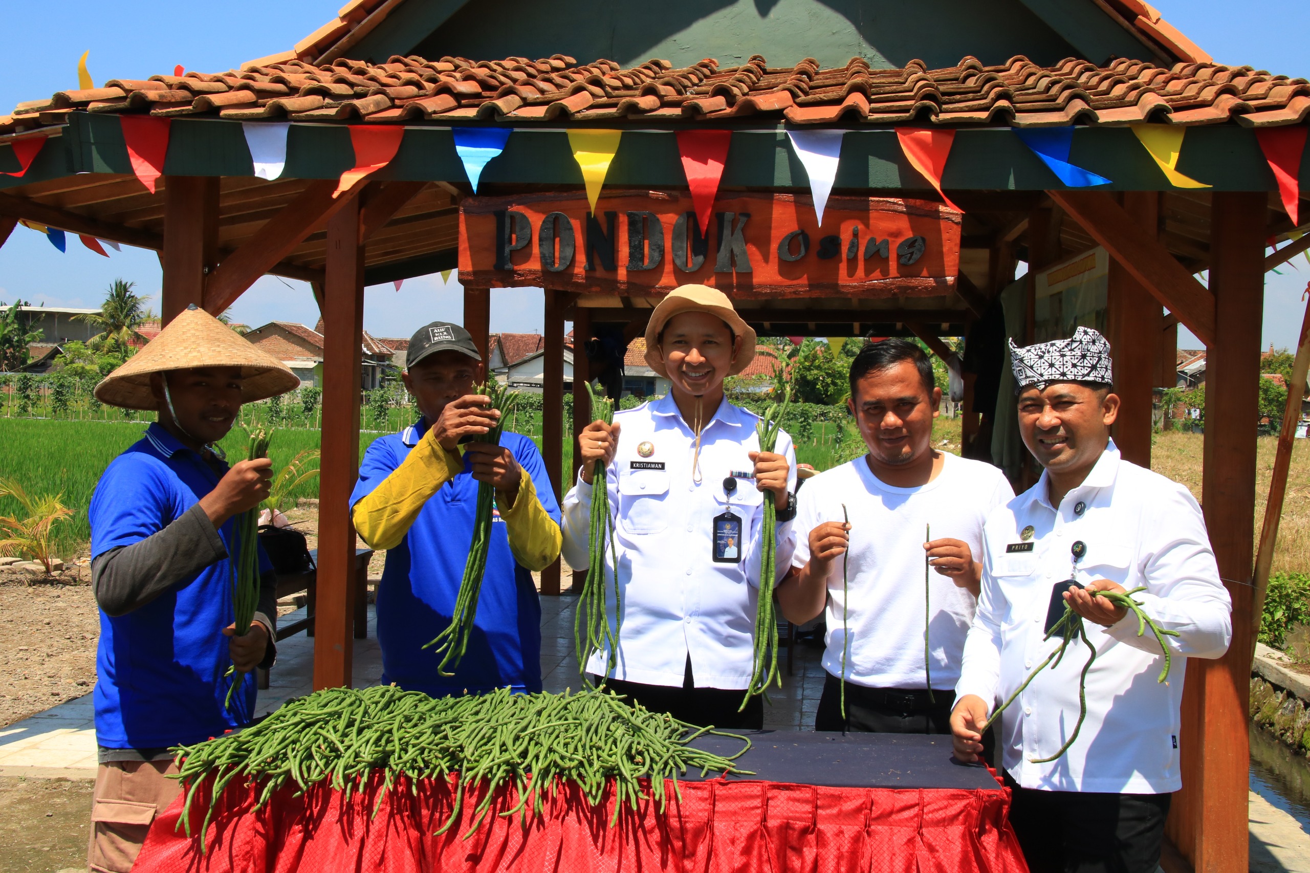 libatkan-warga-binaan-akhirnya-lapas-kelas-iia-banyuwangi-panen-kacang-panjang