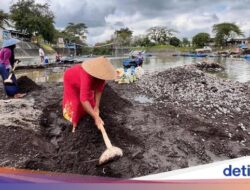 Kisah Srikandi Sungai Banyuwangi Sekolahkan Anak dari Menambang Pasir