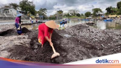 kisah-srikandi-sungai-banyuwangi-sekolahkan-anak-dari-menambang-pasir