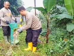 Bareng Warga di Banyuwangi, Polsek Genteng Bersih-bersih Sampah di TPS Ilegal