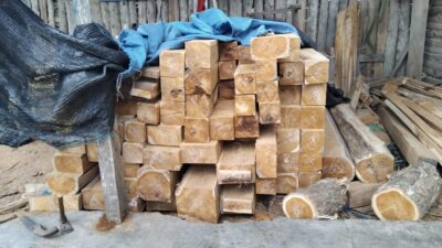 diduga-ilegal,-ratusan-batang-kayu-jati-diamankan-di-tegaldlimo