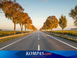 Lanjutan Proyek JLS Jember-Banyuwangi Bakal Gunakan Dana Pinjaman Lembaga Internasional