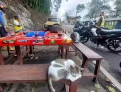 Jalur Gumitir Sepi Kendaraan, Warung Kopi Disulap Jadi ‘Kafe Teras’ di Tengah Jalan Nasional