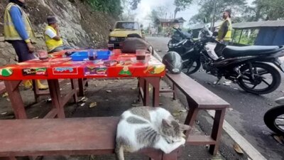 jalur-gumitir-sepi-kendaraan,-warung-kopi-disulap-jadi-‘kafe-teras’-di-tengah-jalan-nasional