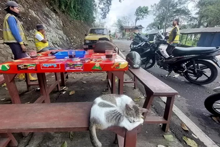 jalur-gumitir-sepi-kendaraan,-warung-kopi-disulap-jadi-‘kafe-teras’-di-tengah-jalan-nasional