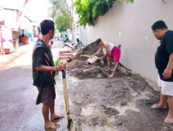 Anggota Paguyuban Pasar Blambangan Lakukan Kegiatan Plesterisasi