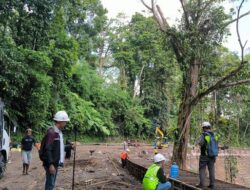 Jalur Gumitir Banyuwangi-Jember Dibuka 4 September, Sopir Sambut Lega