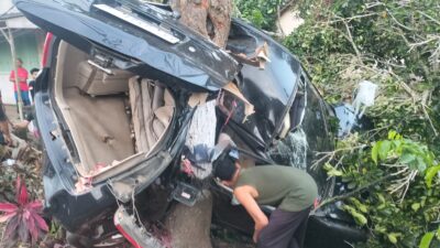 mobil-avanza-tabrak-pohon-nangka-hingga-ringsek-di-kecamatan-siliragung,-begini-kronologinya