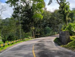 Menyibak Sejarah Jalur Gumitir, Pintu Gerbang Jember-Banyuwangi yang Tak Pernah Sepi Cerita