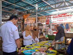 Inovasi Jitu Kanan Pemkab Banyuwangi, Pastikan Ikan Aman Dikonsumsi Tanpa Bahan Berbahaya – TIMES Banyuwangi